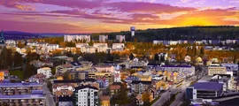Vidsel: özel jet kiralama