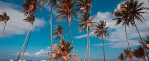 Punta Cana: özel jet kiralama