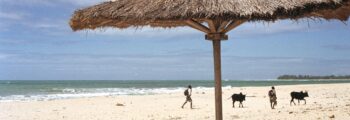 france : location de jet privé