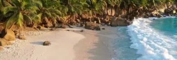 eau claire des Caraïbes
