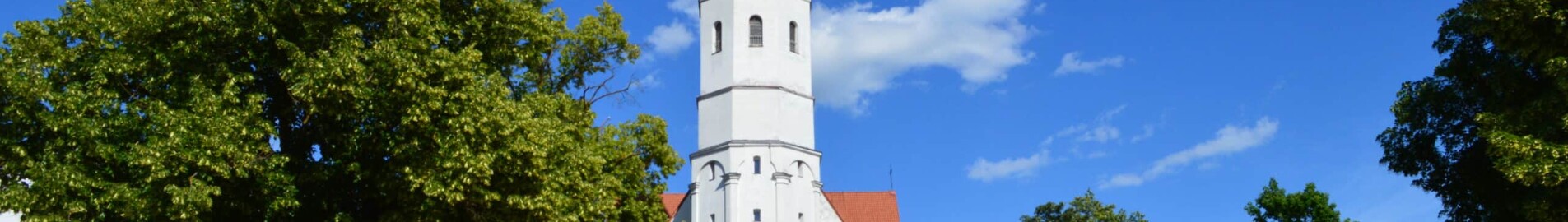 Siauliai : özel jet kiralama 