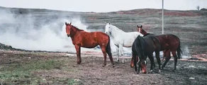 Stavropol Shpakovskoye : özel jet kiralama