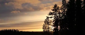 Stromsund Hallviken : özel jet kiralama
