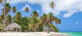 Trinidad Piarco: özel jet kiralama