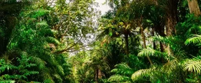 Trinidad & Tobago : Özel jet kiralama