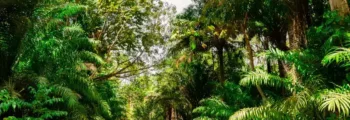 Estonie : Location de jet privé