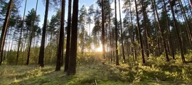 Mineralnyye Vody: özel jet kiralama