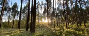 Tver Migalovo: özel jet kiralama