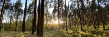 Tver Migalovo: location de jet privé