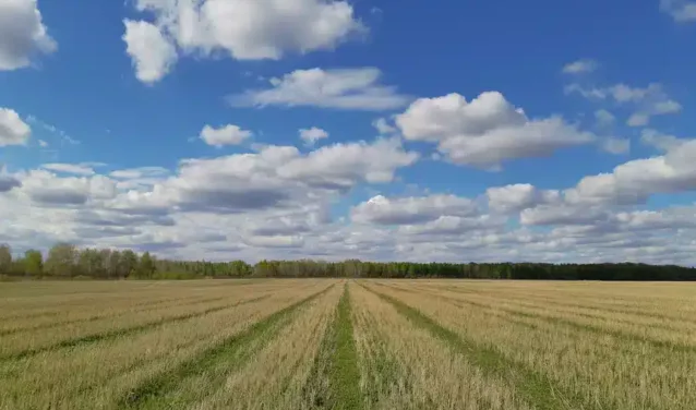Tyumen Roschino : location de jet privé