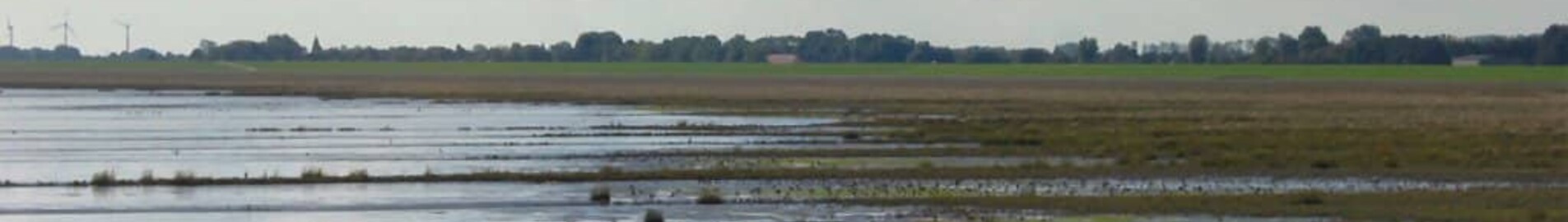 Wilhelmshaven Mariensiel : özel jet kiralama 