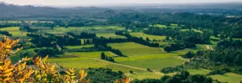 France : location de jet privé
