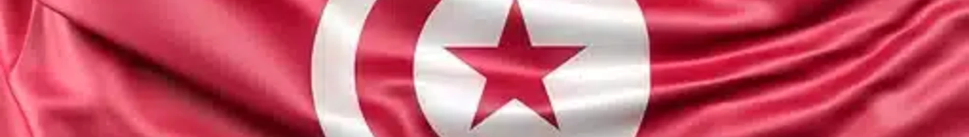 Tunus’a geri dönüş: prosedürler, fiyatlar ve kişiye özel çözümler