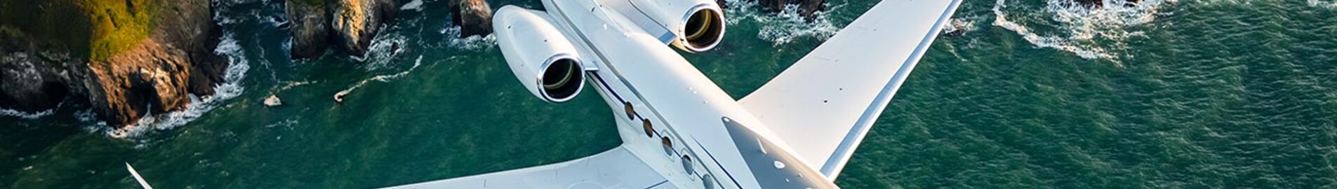 Elon Musk’ın özel jetleri