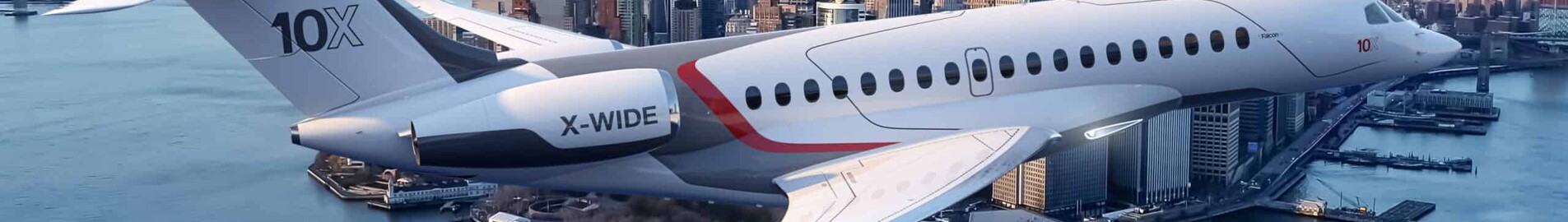 Özel jet ve helikopter: hayvanlar ilham kaynağı olduğunda