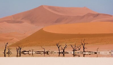 Madagaskar ve Fransa arasında tıbbi geri dönüş: rehber