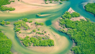 Senegal ve Fransa arasında tıbbi geri dönüş: rehber