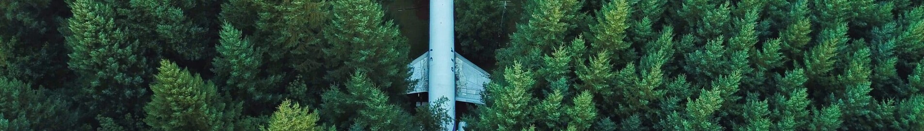 Biyoyakıtlar (SAF): ticari havacılığın geleceği mi?