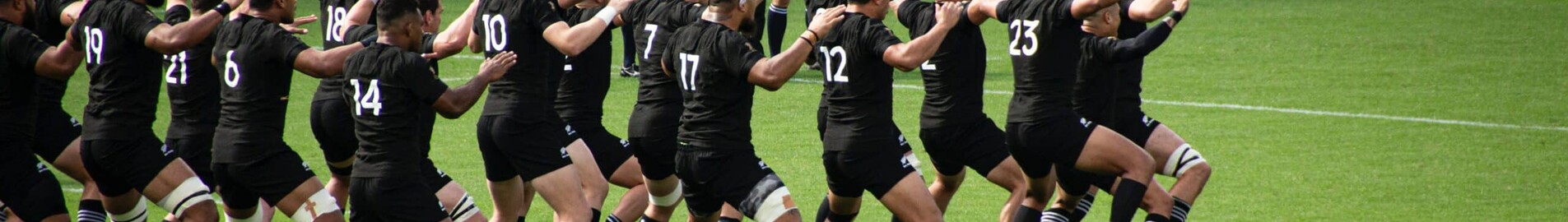 Rugby Dünya Kupası 2023: Özel bir jetle gökyüzüne çıkın.