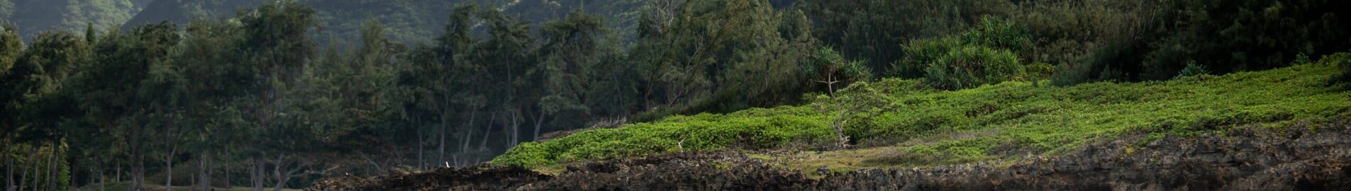 Hawaii : Özel jet ve helikopter kiralama