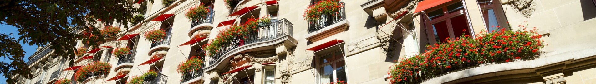Paris’te lüks otel: Hôtel Plaza Athénée’de rüya gibi bir konaklama