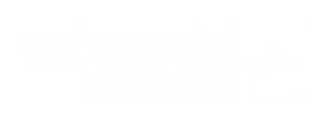H 155: helikopter kiralama