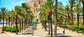 Nice - Palma de Majorca : özel jet kiralama 