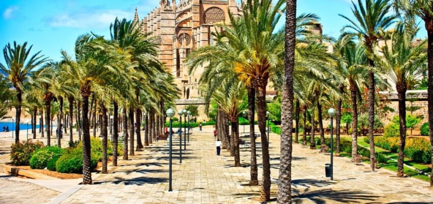 amsterdam palma location de jet privé