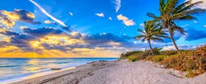 Cenevre - Palm Beach : özel jet kiralama
