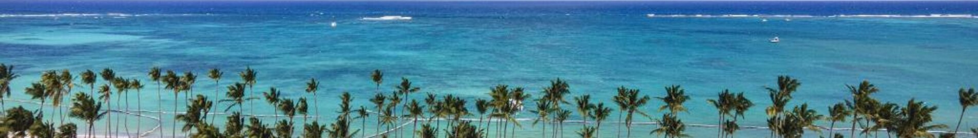 Palm Beach : özel jet kiralama