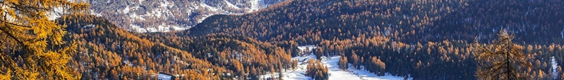 Saint-Tropez - Saint-Moritz Samedan : özel jet kiralama