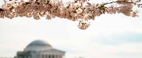 Las Vegas - Washington DC : özel jet kiralama