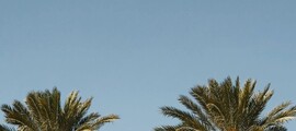 Las Vegas - Palm Beach : özel jet kiralama