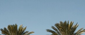 Houston - Orlando : özel jet kiralama
