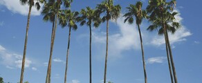 Los Angeles - Orlando : özel jet kiralama