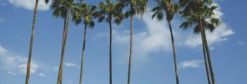 Palma de Majorque : location de jet privé