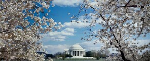 Los Angeles - Washington DC : özel jet kiralama