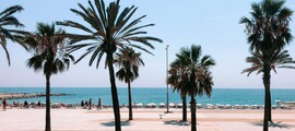 Paris - Palma de Majorca : özel jet kiralama