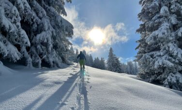 Photo d'une personne skiant dans la poudreuse d'une montagne enneigée