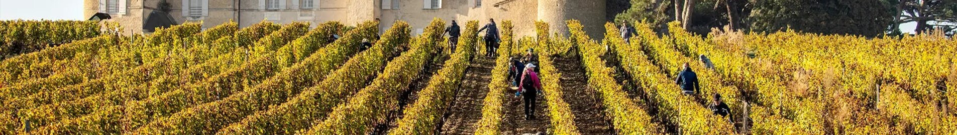 Bordeaux üzüm bağları: helikopter deneyimi