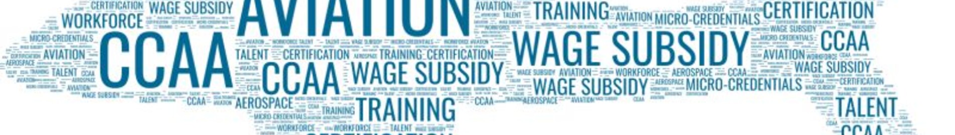 Eksiksiz ticari havacılık sözlüğü : AEROAFFAIRES
